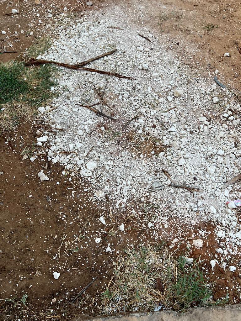 WhatsApp Image 2023-02-25 at 10.49.04 AM.jpeg